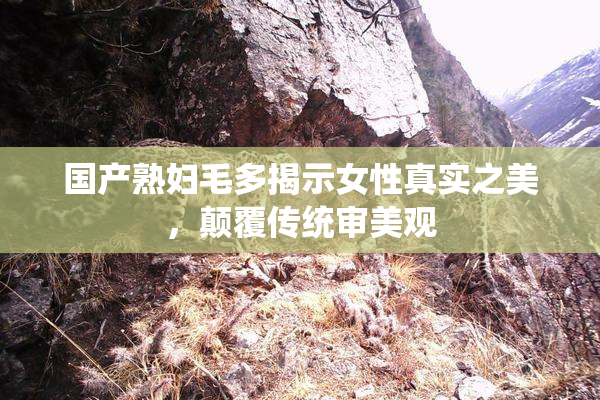 国产熟妇毛多揭示女性真实之美，颠覆传统审美观