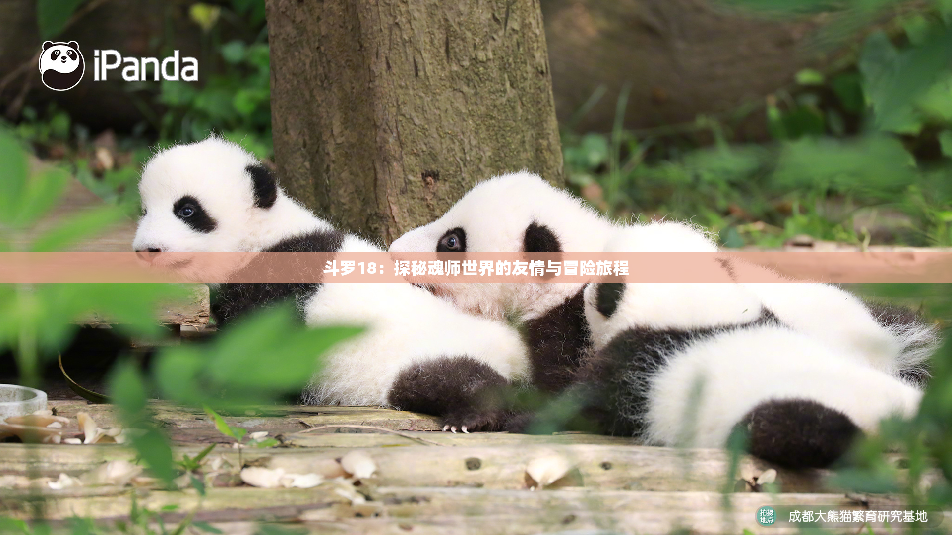 斗罗18：探秘魂师世界的友情与冒险旅程