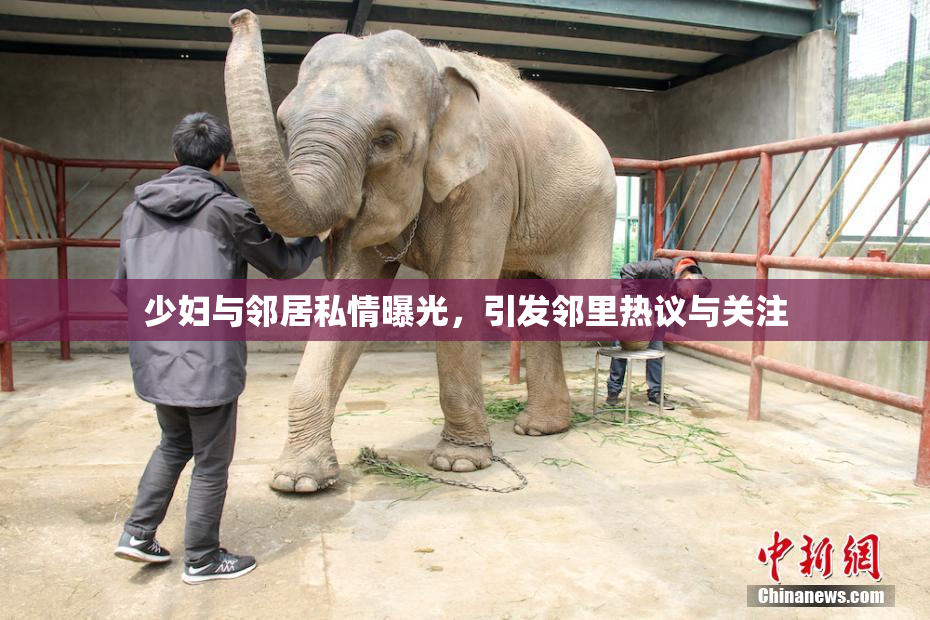 少妇与邻居私情曝光，引发邻里热议与关注