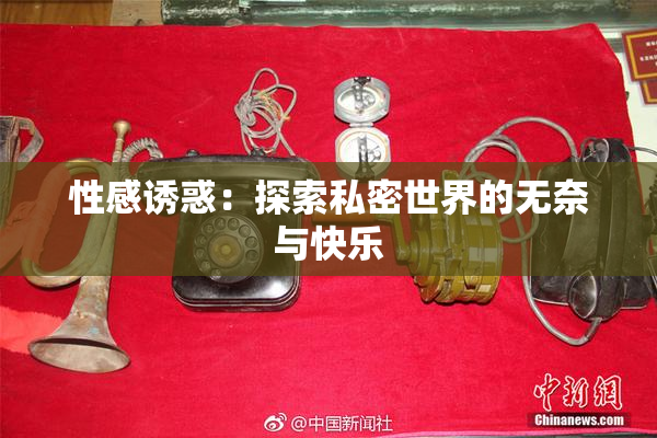 性感诱惑：探索私密世界的无奈与快乐