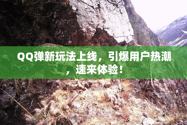QQ弹新玩法上线，引爆用户热潮，速来体验！