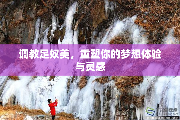 调教足奴美，重塑你的梦想体验与灵感