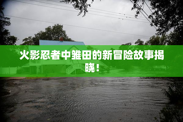 火影忍者中雏田的新冒险故事揭晓！