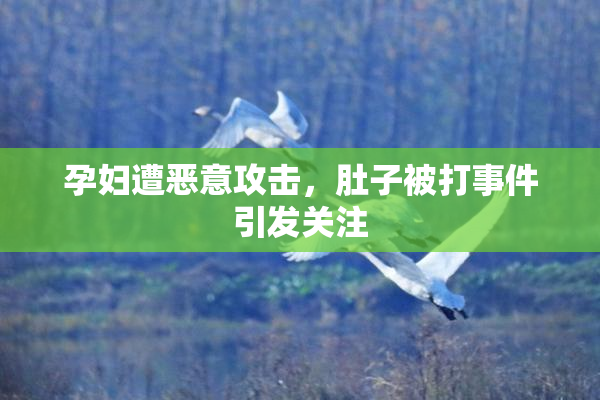 孕妇遭恶意攻击，肚子被打事件引发关注