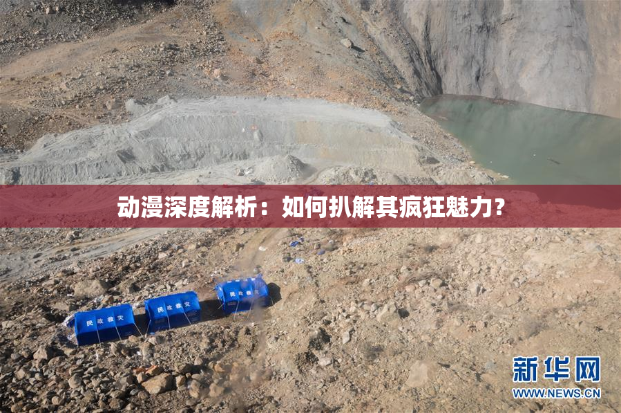 动漫深度解析：如何扒解其疯狂魅力？