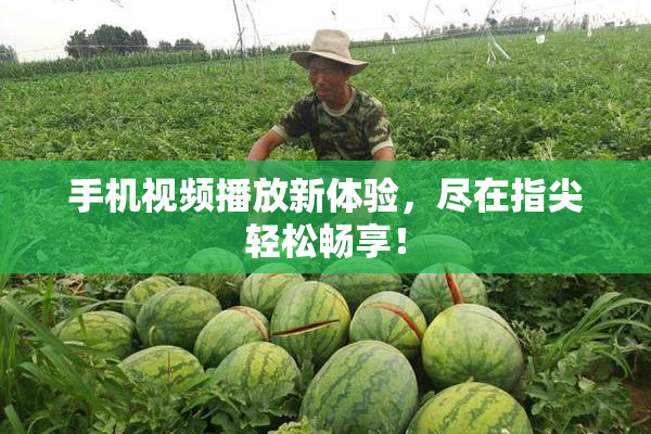手机视频播放新体验，尽在指尖轻松畅享！
