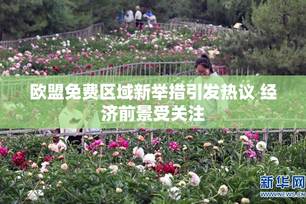 欧盟免费区域新举措引发热议 经济前景受关注