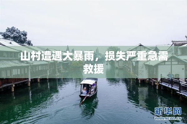 山村遭遇大暴雨，损失严重急需救援