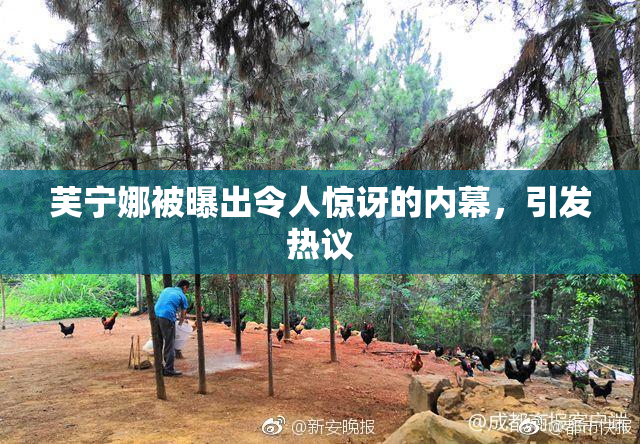 芙宁娜被曝出令人惊讶的内幕，引发热议