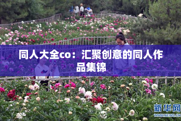 同人大全co：汇聚创意的同人作品集锦