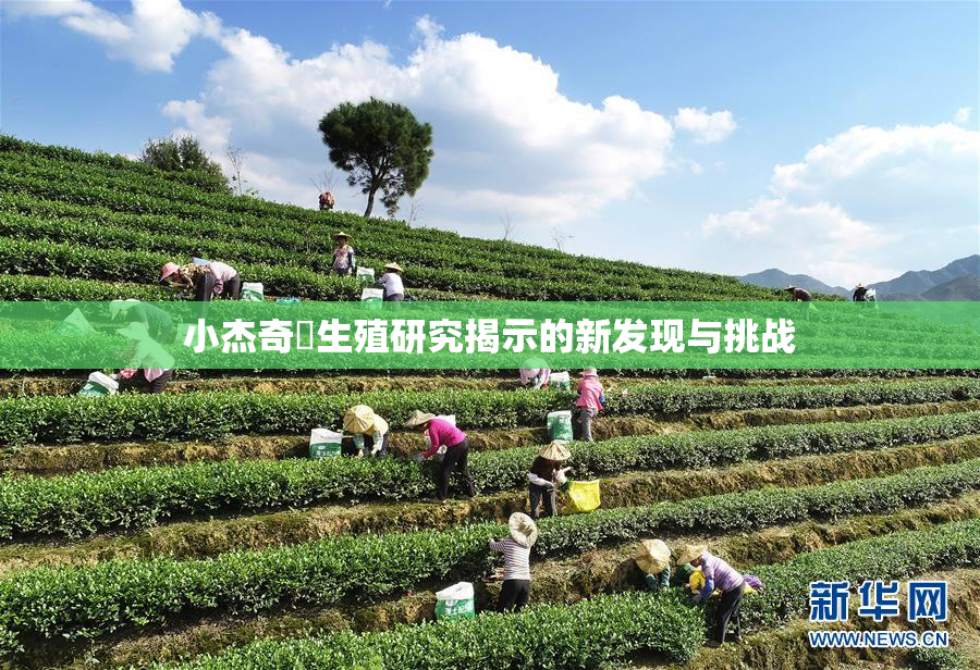 小杰奇犽生殖研究揭示的新发现与挑战