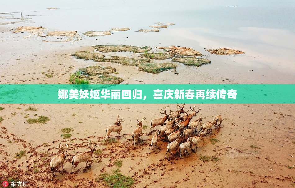 娜美妖姬华丽回归，喜庆新春再续传奇