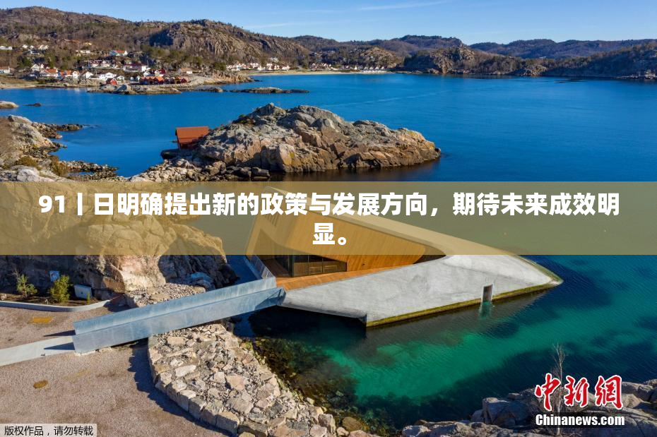 91丨日明确提出新的政策与发展方向，期待未来成效明显。