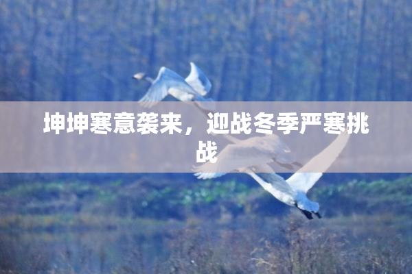 坤坤寒意袭来，迎战冬季严寒挑战