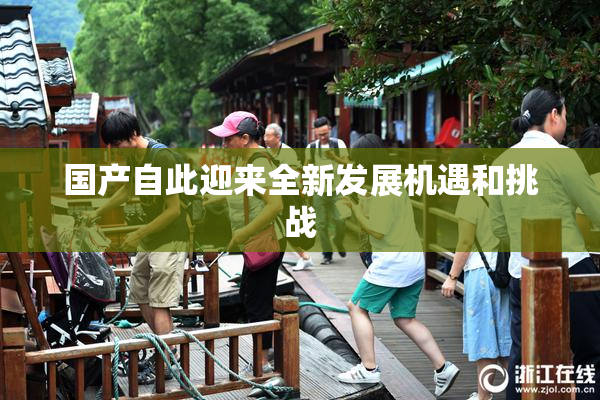 国产自此迎来全新发展机遇和挑战