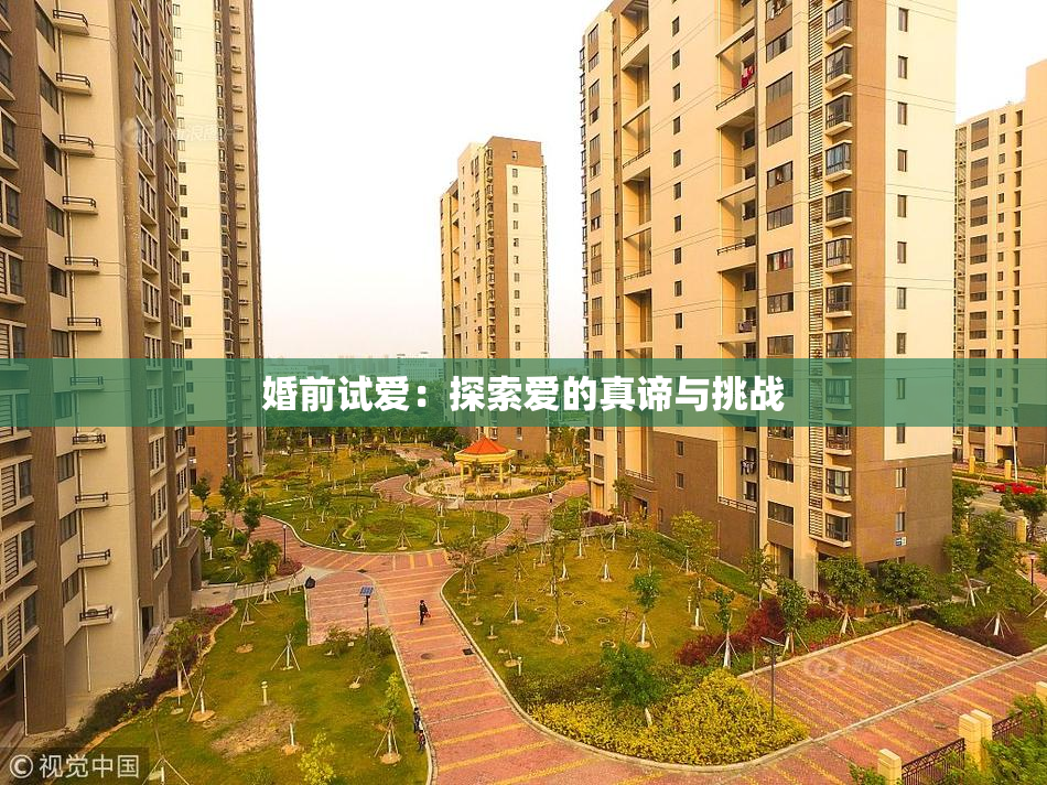 婚前试爱：探索爱的真谛与挑战