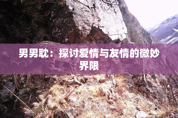 男男耽：探讨爱情与友情的微妙界限