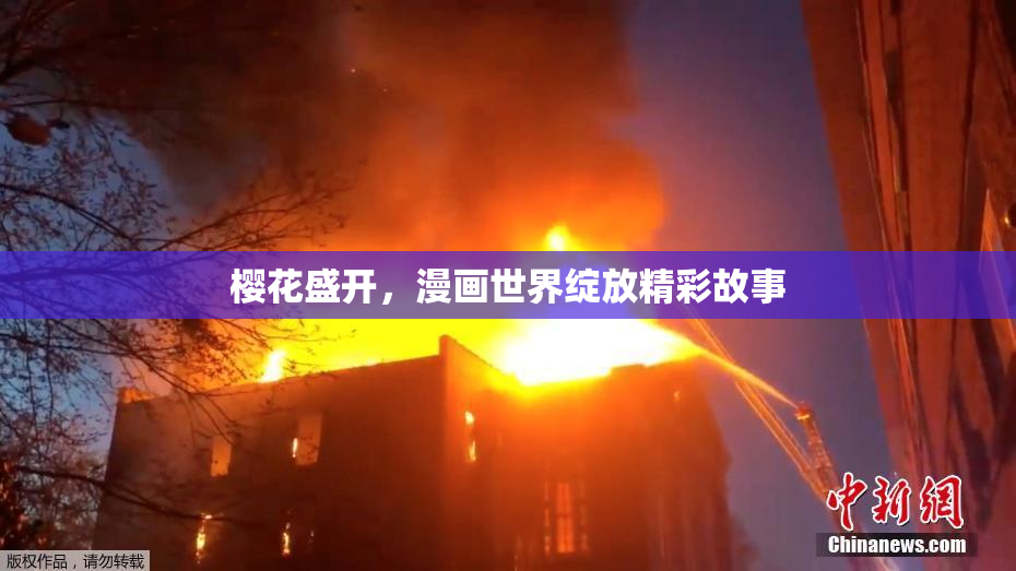 樱花盛开，漫画世界绽放精彩故事