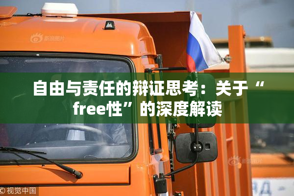 自由与责任的辩证思考：关于“free性”的深度解读