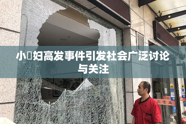 小婬妇高发事件引发社会广泛讨论与关注