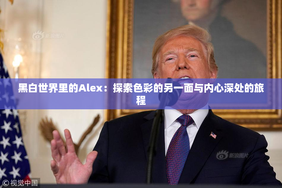 黑白世界里的Alex：探索色彩的另一面与内心深处的旅程