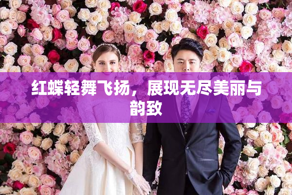 红蝶轻舞飞扬，展现无尽美丽与韵致
