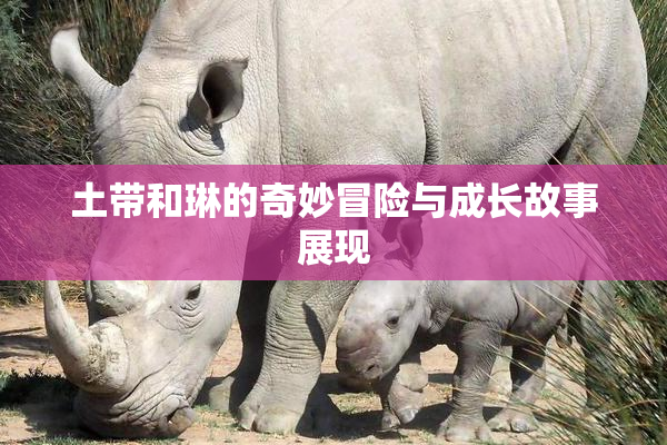 土带和琳的奇妙冒险与成长故事展现