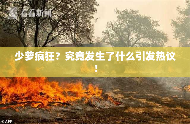 少萝疯狂？究竟发生了什么引发热议！