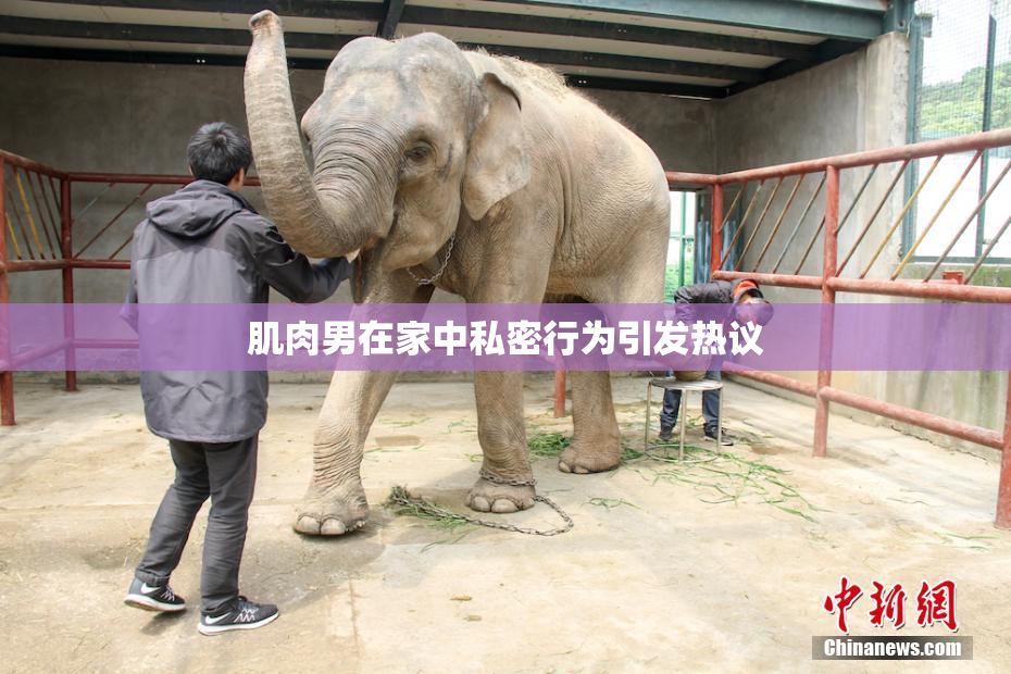 肌肉男在家中私密行为引发热议