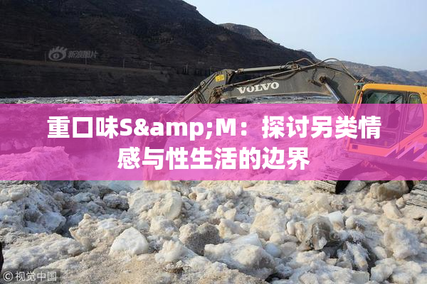 重口味S&M：探讨另类情感与性生活的边界