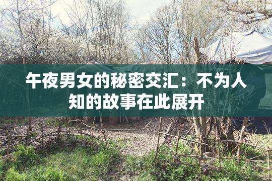 午夜男女的秘密交汇：不为人知的故事在此展开