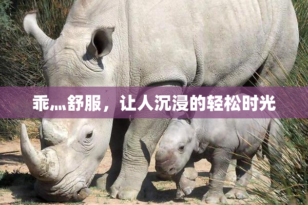 乖灬舒服，让人沉浸的轻松时光