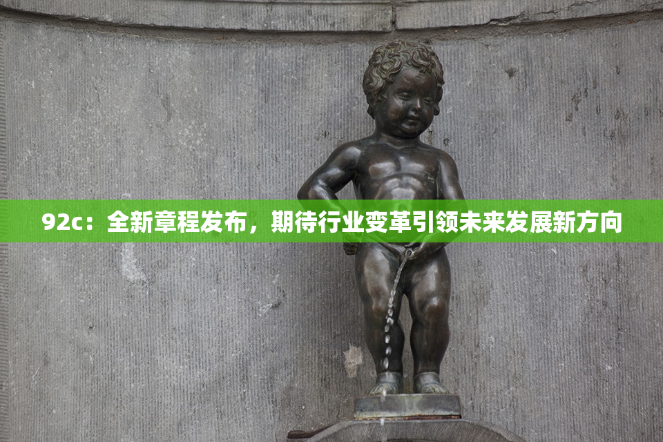 92c：全新章程发布，期待行业变革引领未来发展新方向