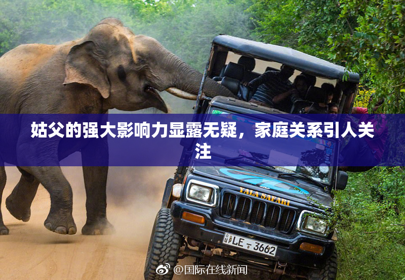 姑父的强大影响力显露无疑，家庭关系引人关注