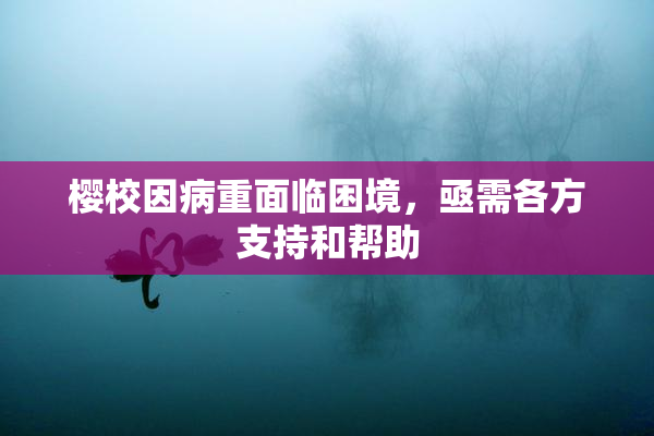 樱校因病重面临困境，亟需各方支持和帮助