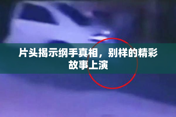 片头揭示纲手真相，别样的精彩故事上演