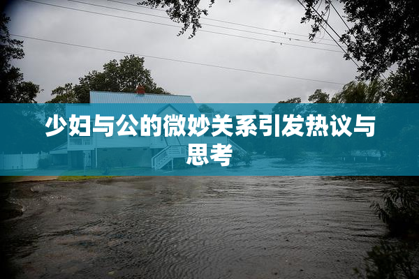 少妇与公的微妙关系引发热议与思考