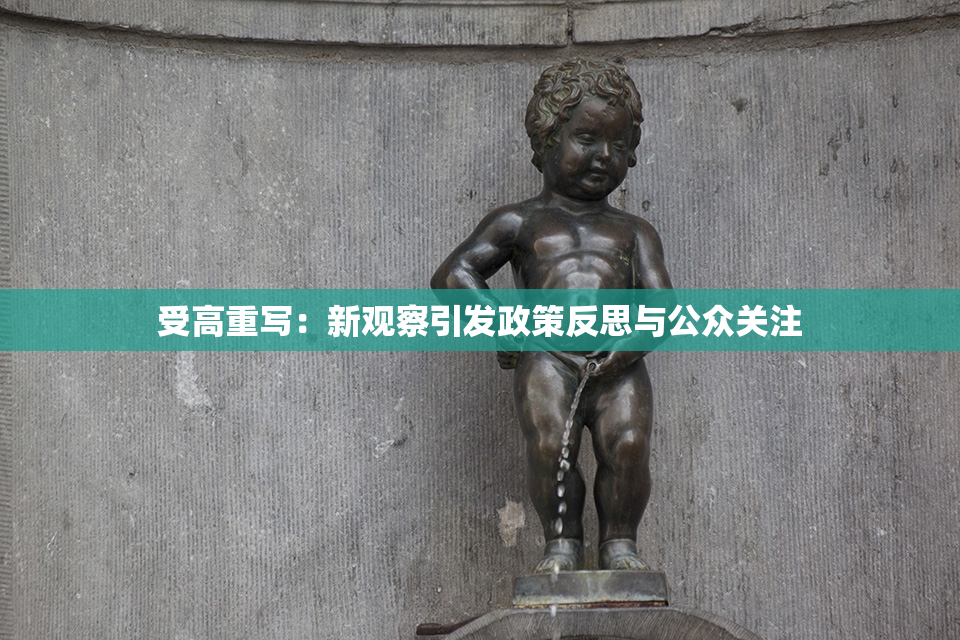 受高重写：新观察引发政策反思与公众关注