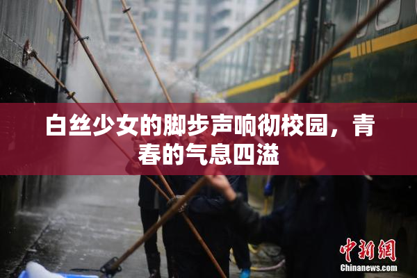 白丝少女的脚步声响彻校园，青春的气息四溢
