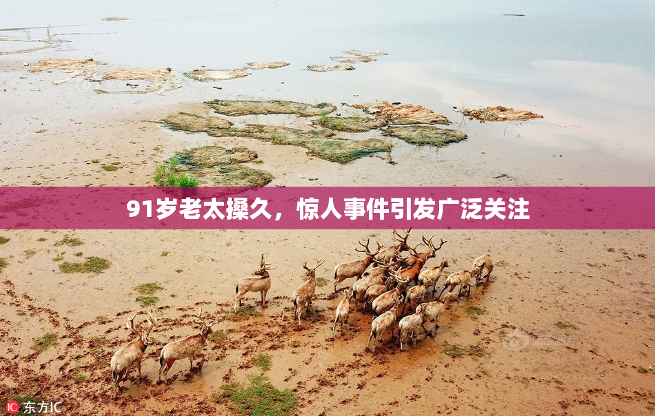 91岁老太搡久，惊人事件引发广泛关注