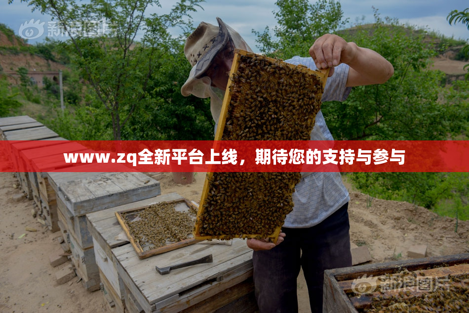 www.zq全新平台上线，期待您的支持与参与