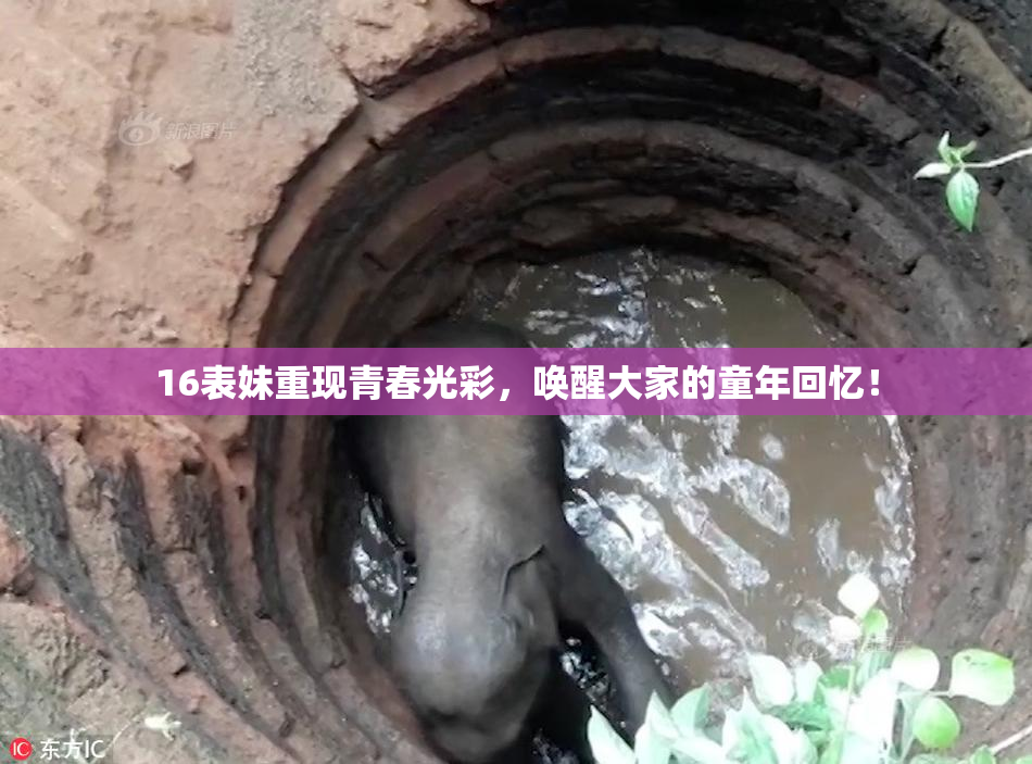 16表妹重现青春光彩，唤醒大家的童年回忆！