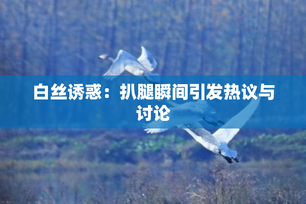 白丝诱惑：扒腿瞬间引发热议与讨论