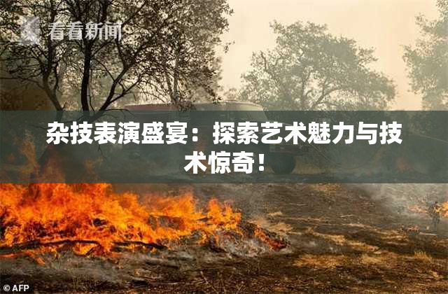 杂技表演盛宴：探索艺术魅力与技术惊奇！