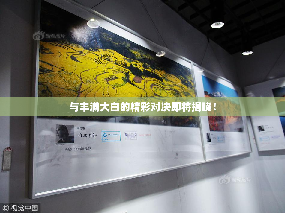 与丰满大白的精彩对决即将揭晓！
