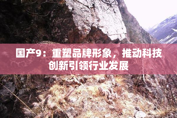国产9：重塑品牌形象，推动科技创新引领行业发展