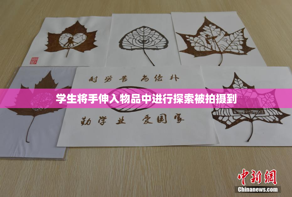 学生将手伸入物品中进行探索被拍摄到