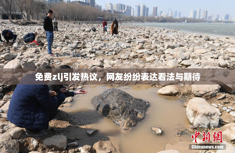 免费zlj引发热议，网友纷纷表达看法与期待