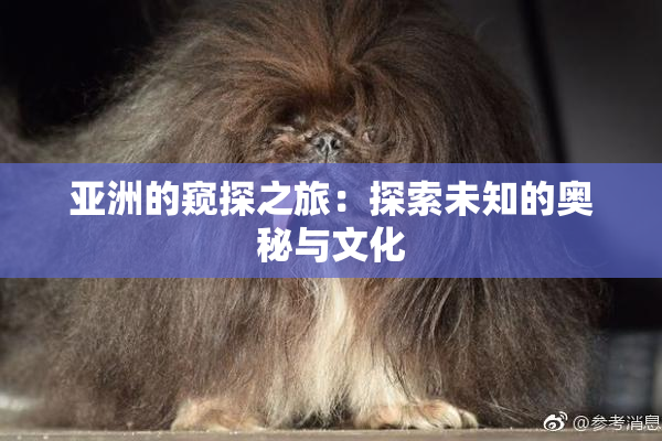 亚洲的窥探之旅：探索未知的奥秘与文化