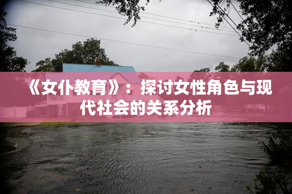 《女仆教育》：探讨女性角色与现代社会的关系分析